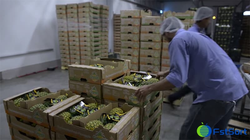 images/1656575186958pineapple packing equipment5.jpg